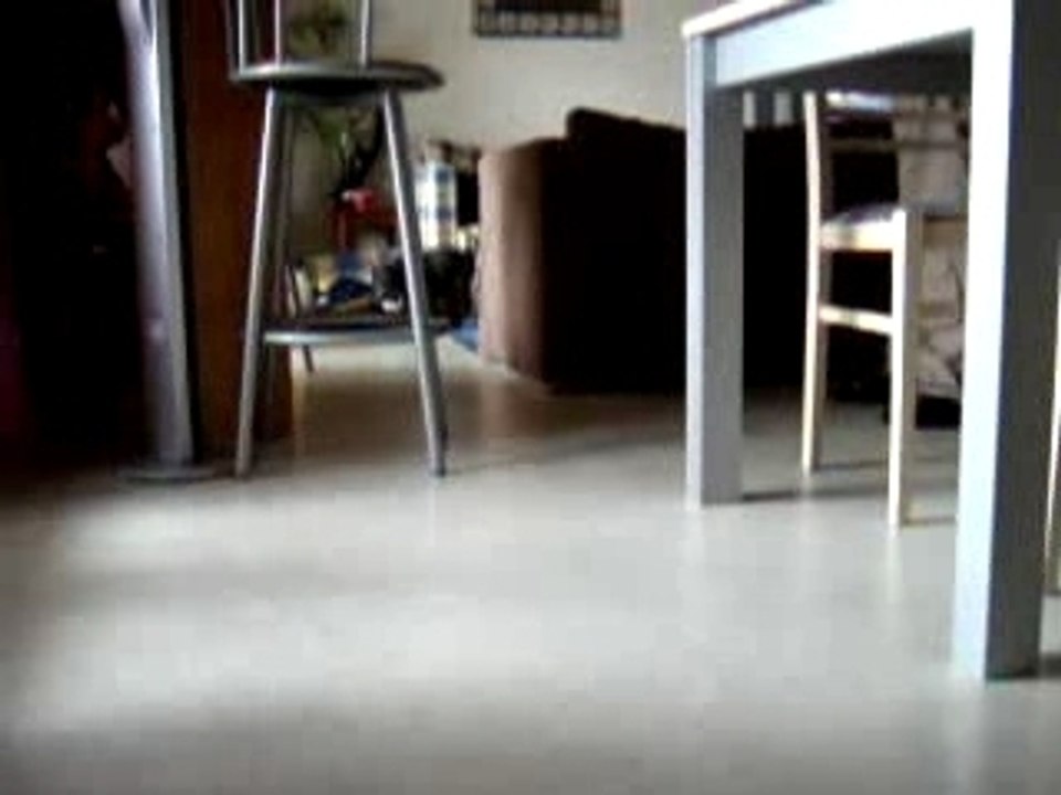 Sharpei - J'te donnerai pas ma balle