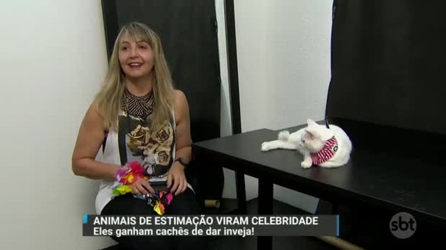 SBT Brasil mostra animais de estimação que ganham cachês de dar inveja