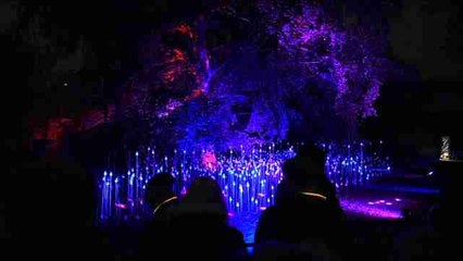 Veinte instalaciones luminosas dan forma a SIGNAL