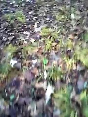 Ce Cerf est mort allongé dans la forêt.. Enfin presque... SURPRISE