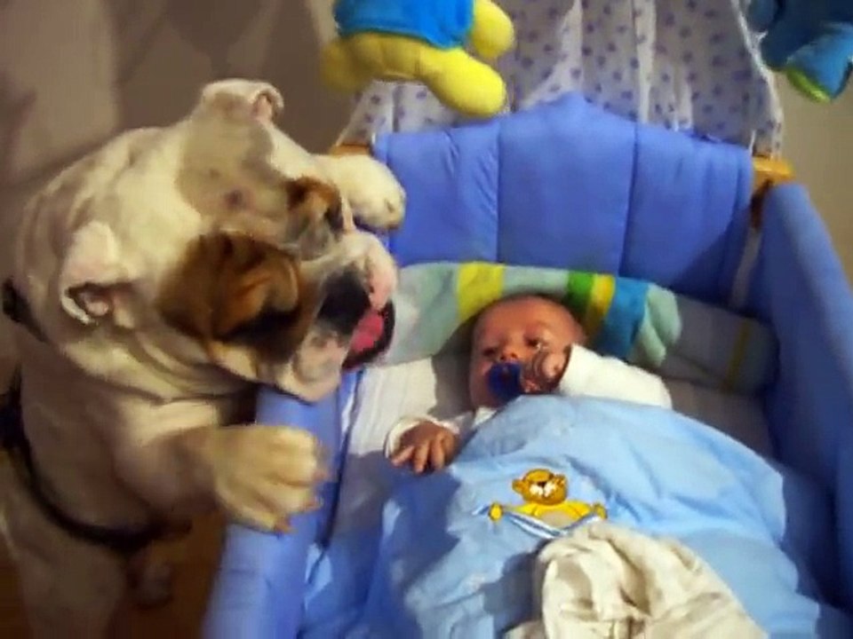 British Bulldog - Tierliebe - baby and dog - funny - english Bulldog