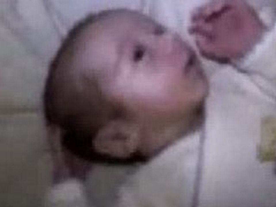 A garder ANAIS (2)