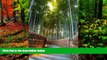 Must Have PDF  Arashiyama Bamboo Forest in Kyoto Japan Journal: 150 page lined notebook/diary