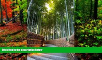 Must Have PDF  Arashiyama Bamboo Forest in Kyoto Japan Journal: 150 page lined notebook/diary