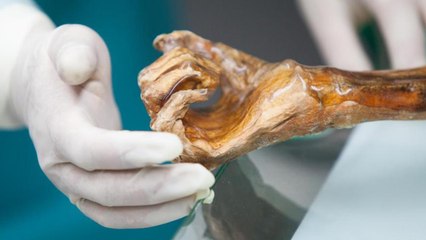 10 Most Intense Archaeological Discoveries In History