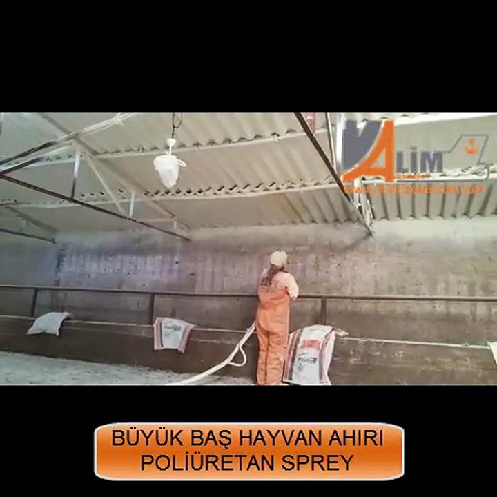 ALİM İZOLASYON BÜYÜK BAŞ HAYVAN AHIRI POLİÜRETAN SPREY UYGULAMASI 2