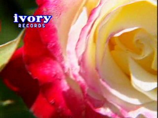 I Can Wait Forever - Video Karaoke (Ivory)