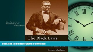 READ THE NEW BOOK The Black Laws: Race and the Legal Process in Early Ohio (Law Society   Politics