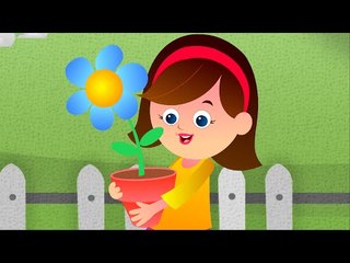 Mary Mary Quite Contrary | Nursery Rhyme