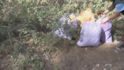 Denizli Ormana Atılan 5 Çuvaldan 10 Kilo 100 Gram Esrar Çıktı