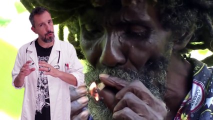 Soigner avec le Cannabis (Dans ton corps, Octobre 2016) (FR)