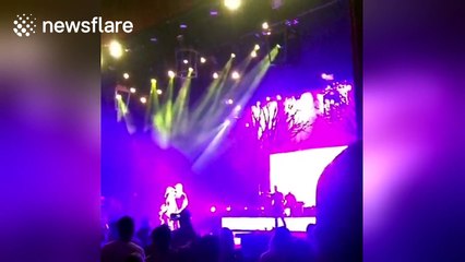 Man sings "Here Without Harambe" at 3 Doors Down concert