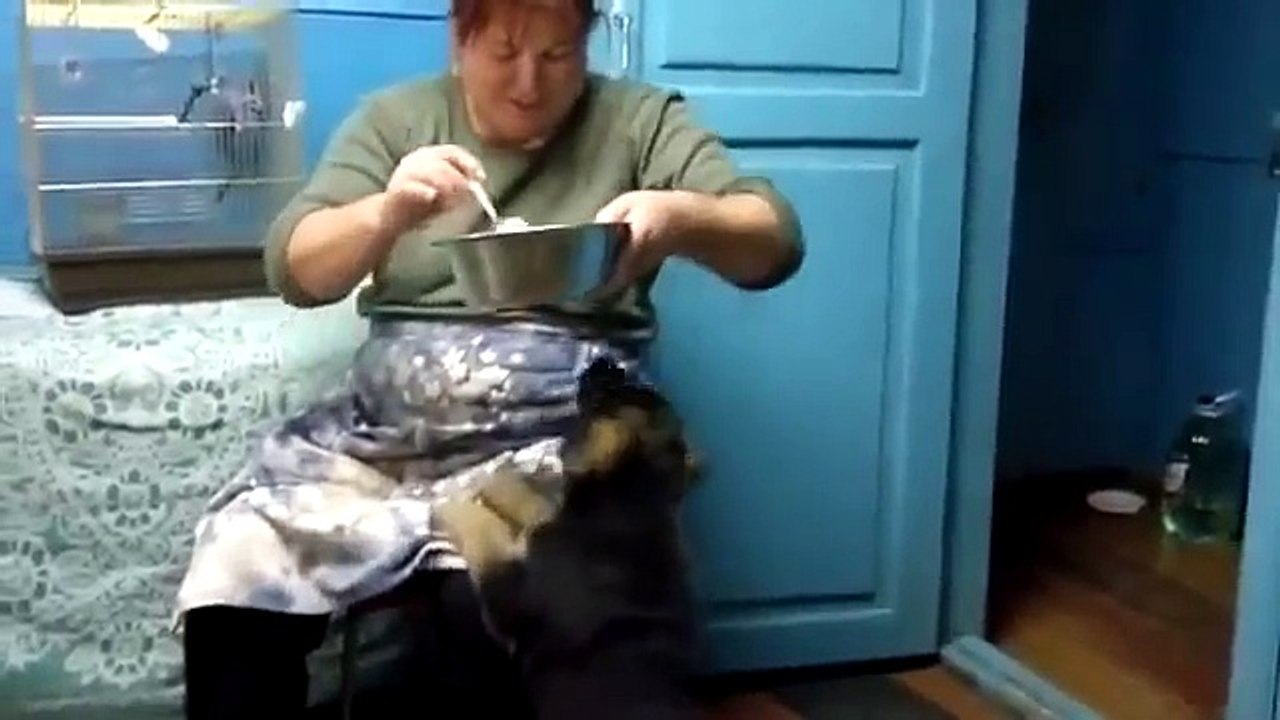 Un Cucciolotto che sembra dica "MAMMA"