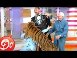 Club Dorothée : un tigre se jette sur Dorothée ! (1997)