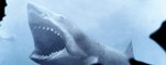 CAGE DIVE Trailer (2016) Shark Found Footage Horror Movie