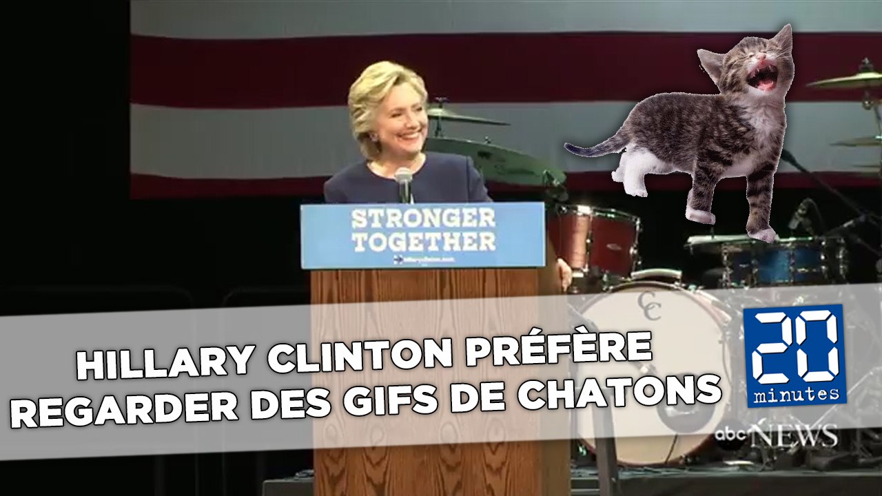 Polémiques Trump: Hillary Clinton préfère regarder des GIFs de chatons