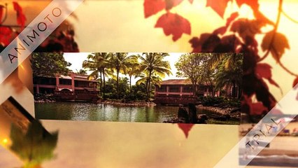 Book 3 Star and 2 Star Hotels in Goa