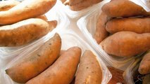 Anti-Cancer Potential of Sweet Potato Proteins