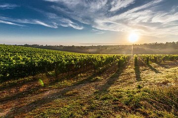 bamwar10.net 일산휴게텔 대전마사지 밤의 전쟁