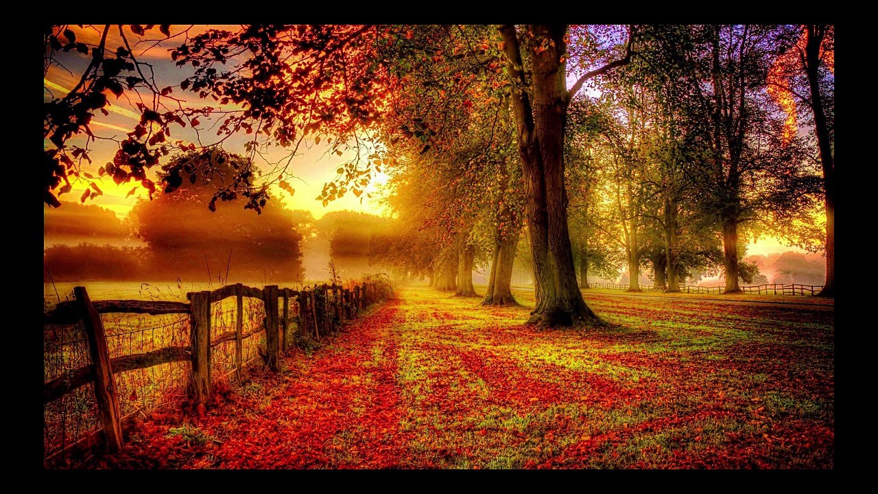 nature