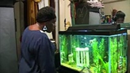 US doctors seen failing in transgender care