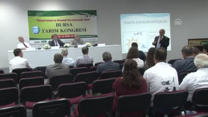 Türkiye Sulak Alanlarının Yaklaşık Yüzde 40'ını Kaybetti"