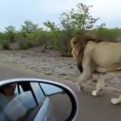 بس رد عليه شوف ايش صار