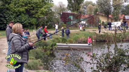 NATURA E DINTORNI - Puntata 3  Speciale laghi Carcana - Parte 1