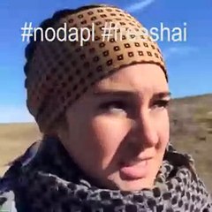 shailene woodley arrêtée pour avoir protester pacifiquement