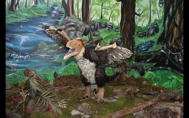Haţeg - despre dinozauri şi vulcani / Hateg - About dinosaurs and volcanoes