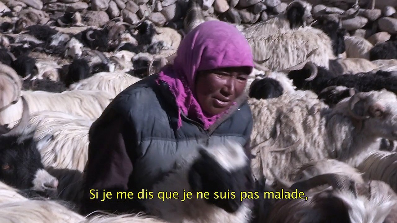 Teaser la bergère des glaces