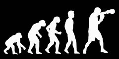 Heavyweight History - Evolution