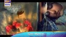 Tum Meri Ho ARY Digital  drama promo 31 May 2016