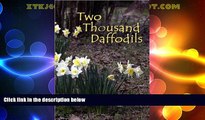 Big Deals  Two Thousand Daffodils  Full Read Best Seller