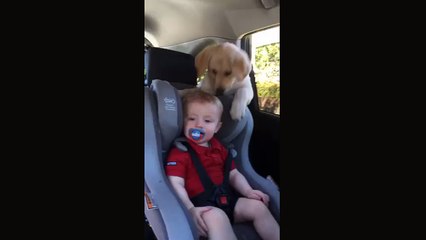 Perfectly timed moment captured on camera