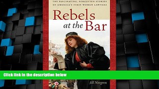 Big Deals  Rebels at the Bar: The Fascinating, Forgotten Stories of America s First Women Lawyers