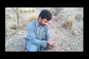 Pashto funny clip - funny pathan in action