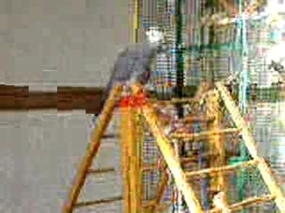 DSCF1231