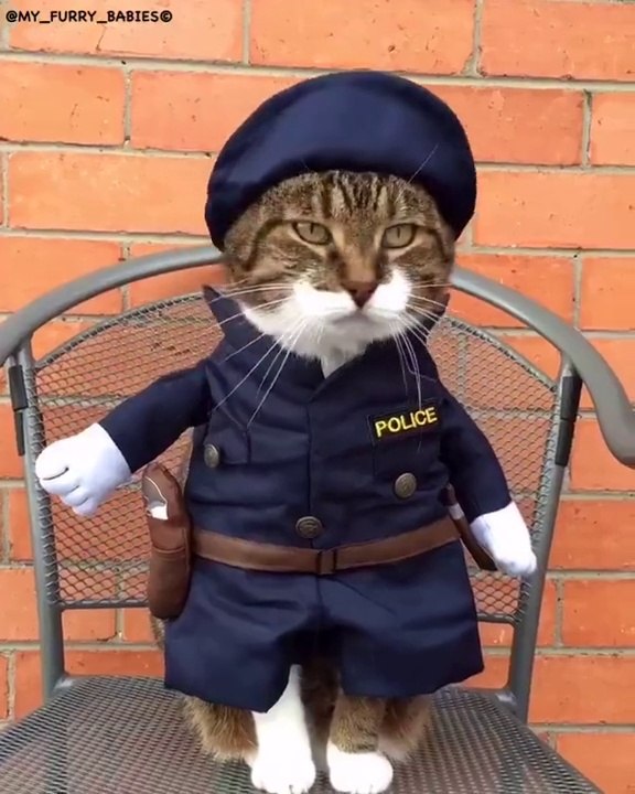 Serious cop Joey