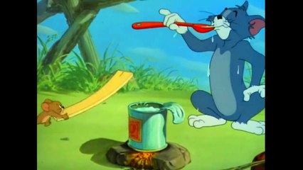 Funny Compilation Fail Cartoon - Tom and Jerry