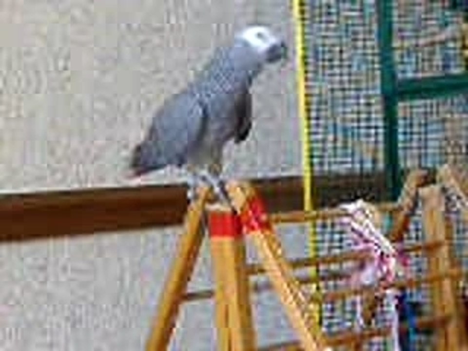 DSCF1234