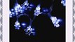 Paulart LED Lichterkette Weihnachts Dekoration Licht Weihnachten Beleuchtung Sterne DEI4