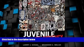 Must Have PDF  Juvenile Delinquency: Theory, Practice, and Law  Best Seller Books Best Seller