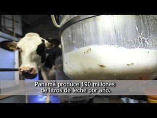 Avance de Noticias: Martes 26 de Junio, 2012
