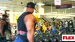 phil heaths 23 inch arm blast biceps and triceps training for mass