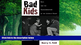 Big Deals  Bad Kids: Race and the Transformation of the Juvenile Court (Studies in Crime and