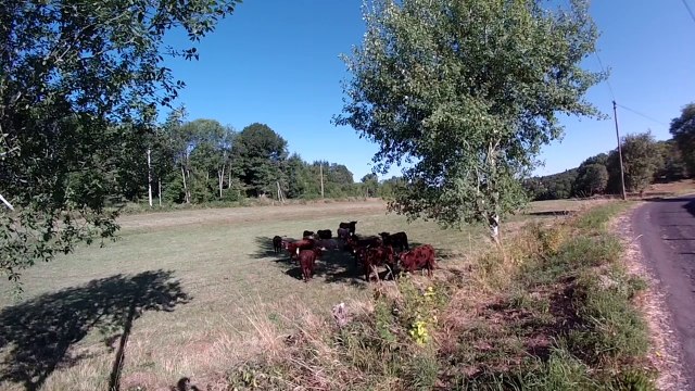 VTT Champs sur Tarantaine