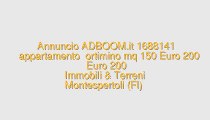 appartamento  ortimino mq 150 Euro 200