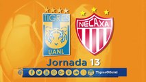 Llegó la Jornada 13 y aquí te dejamos nuestra previa en video del juego Tigres vs Necaxa