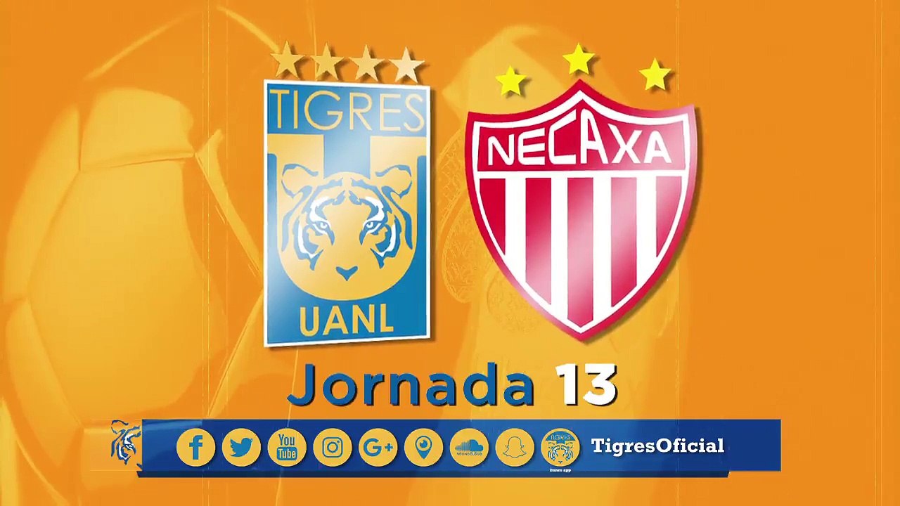 Llegó la Jornada 13 y aquí te dejamos nuestra previa en video del juego Tigres vs Necaxa